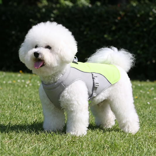 Dog Cooling Vest